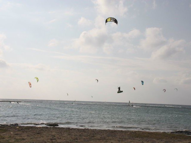 Kite 2011-03